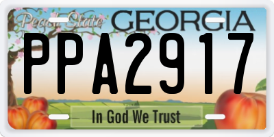 GA license plate PPA2917