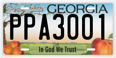 GA license plate PPA3001
