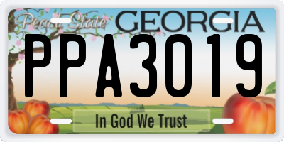 GA license plate PPA3019