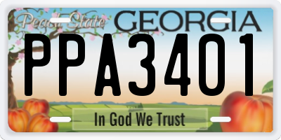 GA license plate PPA3401