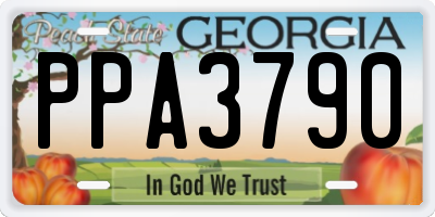 GA license plate PPA3790