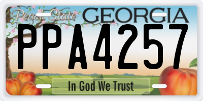 GA license plate PPA4257