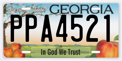 GA license plate PPA4521