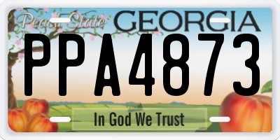 GA license plate PPA4873