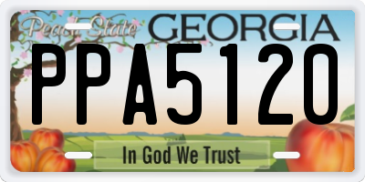 GA license plate PPA5120