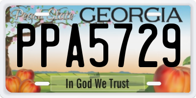 GA license plate PPA5729