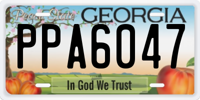 GA license plate PPA6047