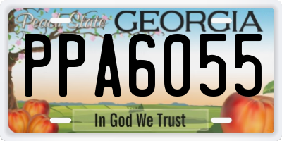 GA license plate PPA6055