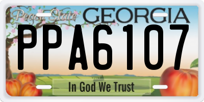 GA license plate PPA6107