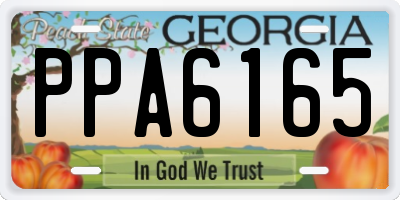 GA license plate PPA6165