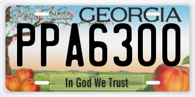 GA license plate PPA6300