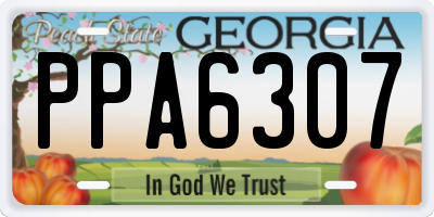 GA license plate PPA6307