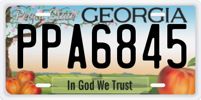 GA license plate PPA6845