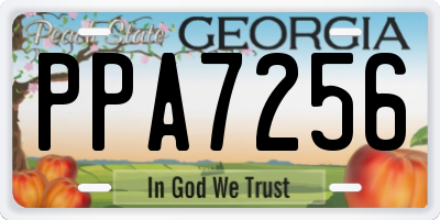 GA license plate PPA7256