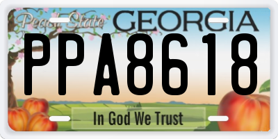 GA license plate PPA8618