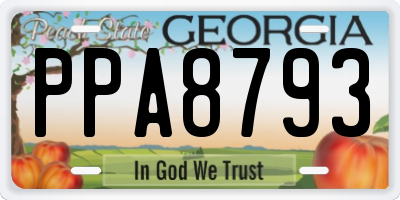 GA license plate PPA8793