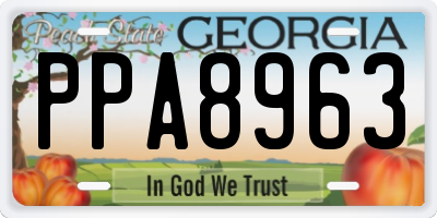 GA license plate PPA8963