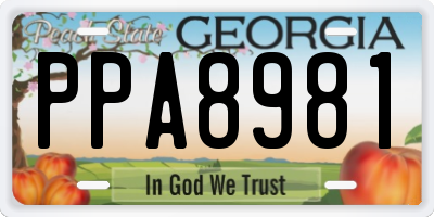 GA license plate PPA8981