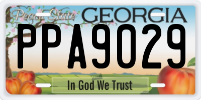 GA license plate PPA9029