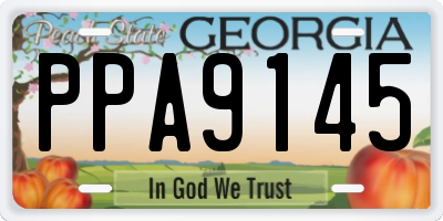 GA license plate PPA9145