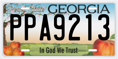 GA license plate PPA9213