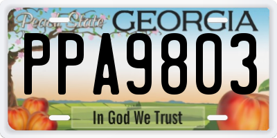 GA license plate PPA9803