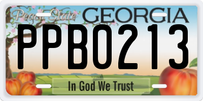 GA license plate PPB0213