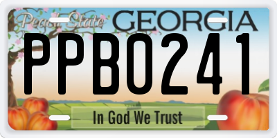 GA license plate PPB0241
