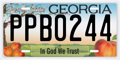 GA license plate PPB0244