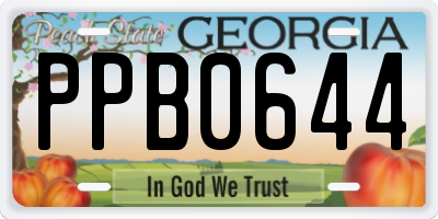 GA license plate PPB0644