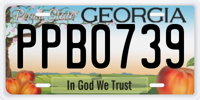 GA license plate PPB0739