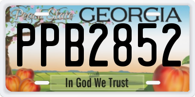 GA license plate PPB2852