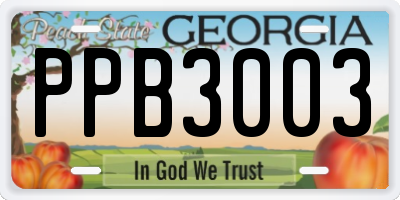 GA license plate PPB3003