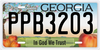 GA license plate PPB3203
