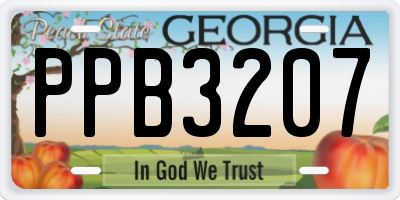 GA license plate PPB3207