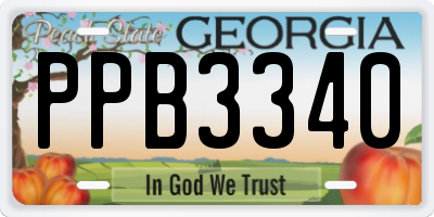 GA license plate PPB3340