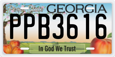 GA license plate PPB3616