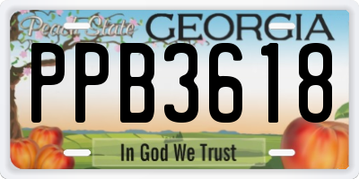 GA license plate PPB3618