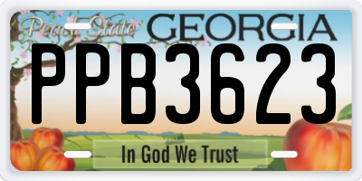 GA license plate PPB3623