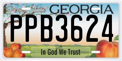 GA license plate PPB3624
