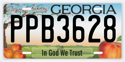 GA license plate PPB3628