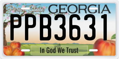 GA license plate PPB3631