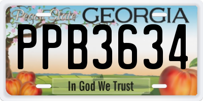 GA license plate PPB3634