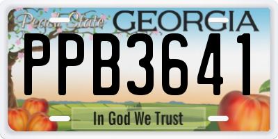 GA license plate PPB3641