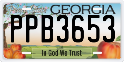 GA license plate PPB3653