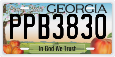GA license plate PPB3830