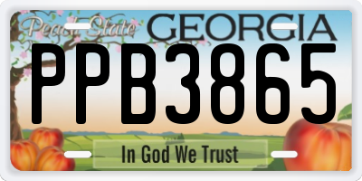 GA license plate PPB3865