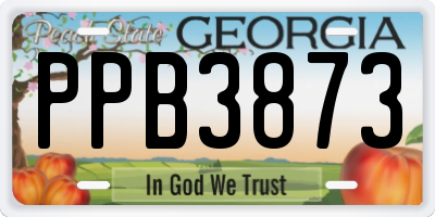 GA license plate PPB3873