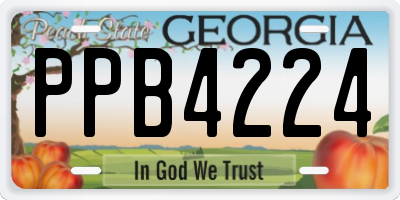 GA license plate PPB4224