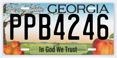 GA license plate PPB4246